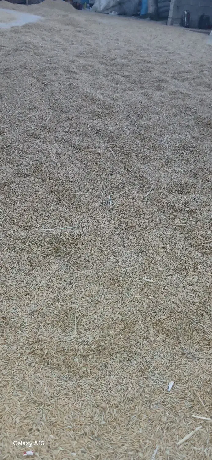 چلتیک|خوردنی و آشامیدنی|بوستان, |دیوار