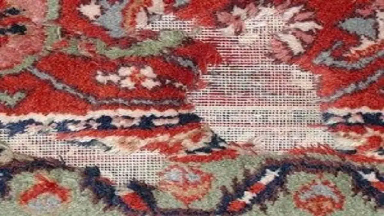 فرش دستباف دارای بیدزدگی|فرش|یزد, |دیوار