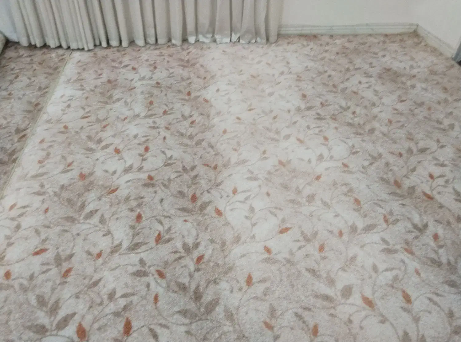 پالاز موکت|موکت|زمکان, |دیوار