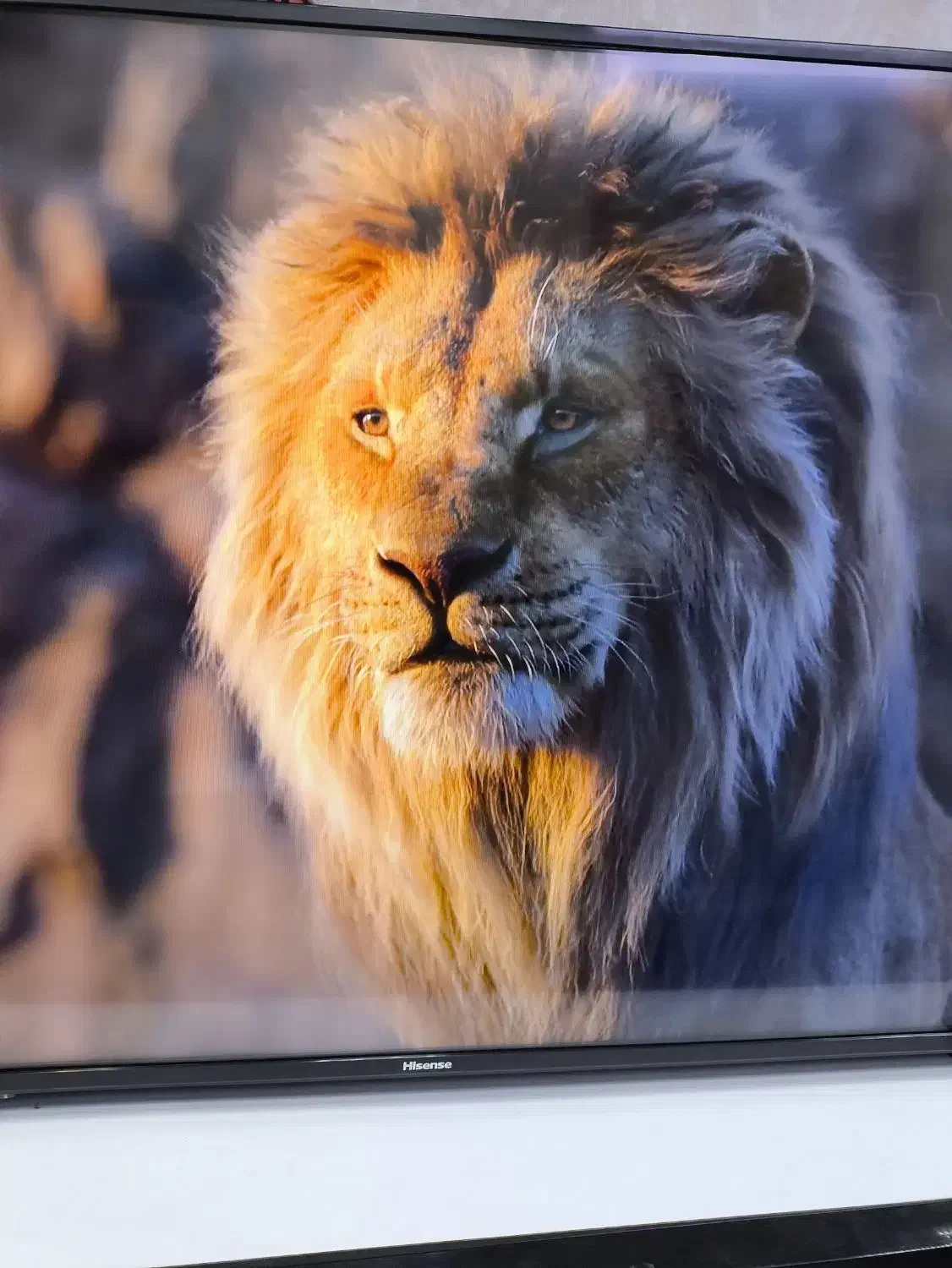 تلویزیون هوشمند ۵۵ اینچ هایسنس 4K|تلویزیون و پروژکتور|قم, کیوانفر|دیوار