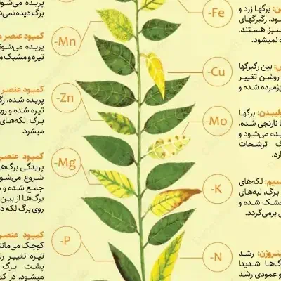 نرده‌سنگی|عمده‌فروشی|تربت‌حیدریه, پائین ولایت|دیوار