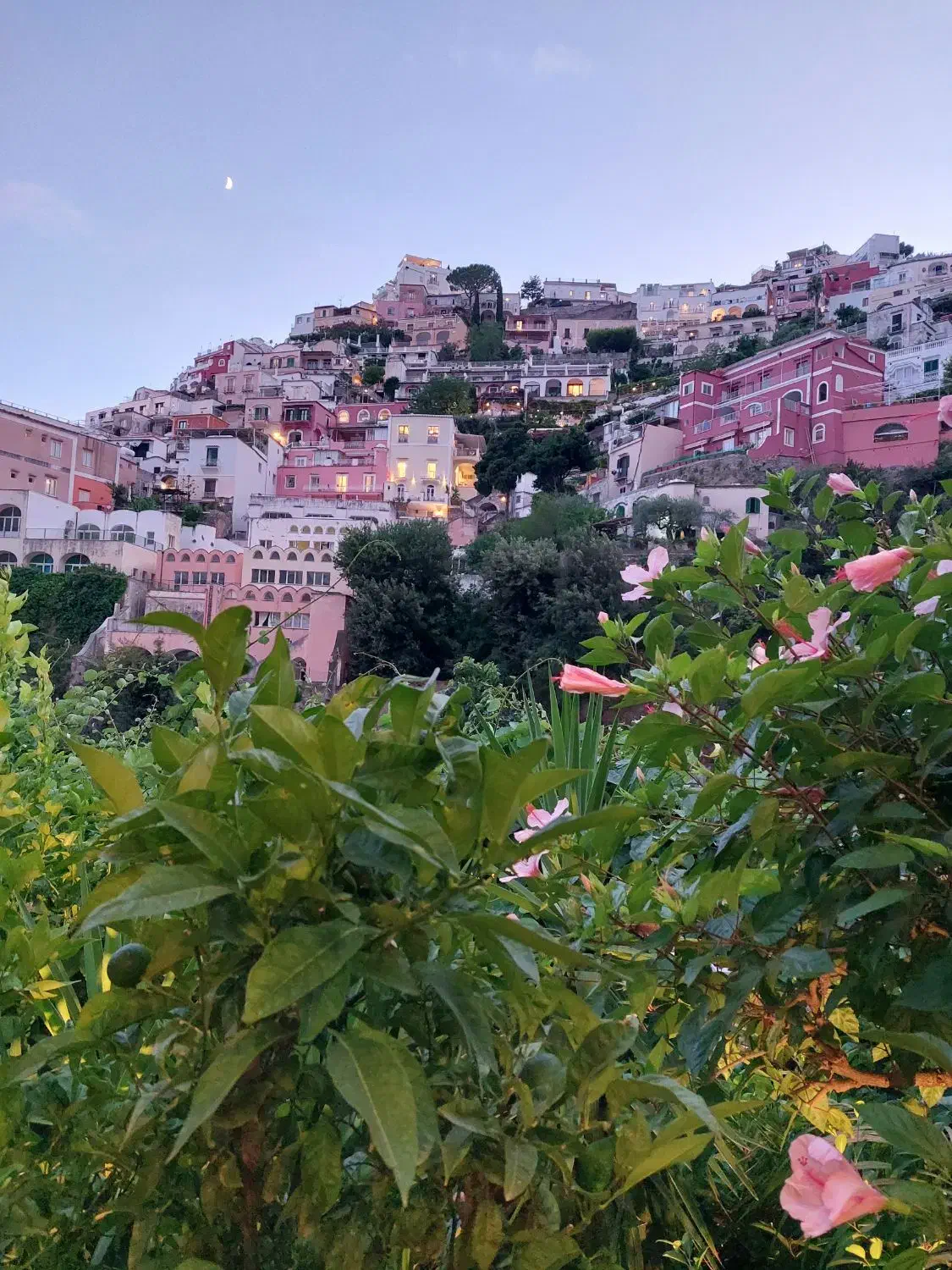 خدمات هرس کیاهان و درخت|خدمات باغبانی و درختکاری|کیش, |دیوار