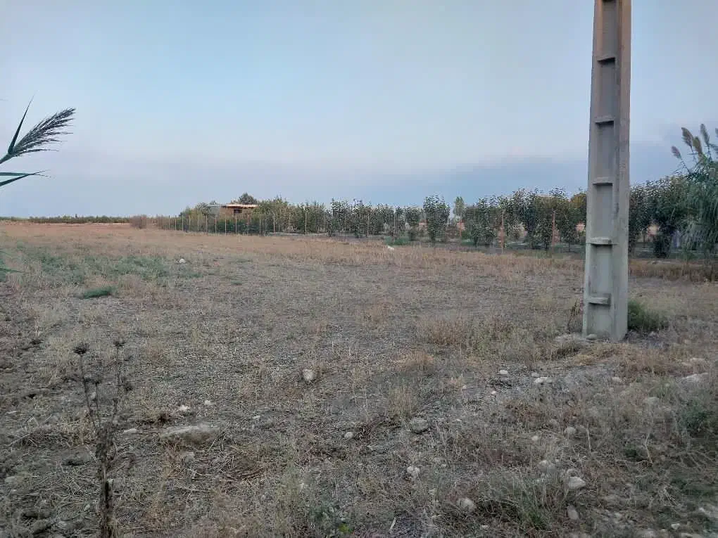 زمین کشاورزی و باغی قلندرمحله|فروش زمین و ملک کلنگی|گرگان, |دیوار