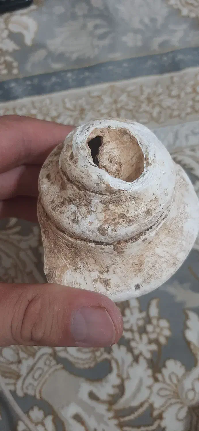 شخصی|کلکسیون اشیاء عتیقه|تهران, فرودگاه مهرآباد|دیوار