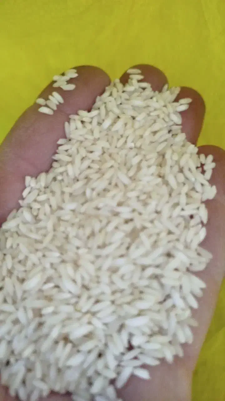برنج عنبربو|خوردنی و آشامیدنی|فارسان, |دیوار