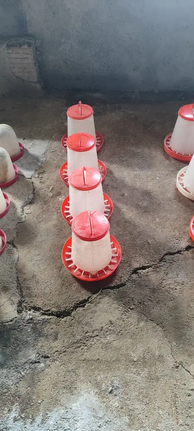 دانخوری و آبخوری|لوازم جانبی حیوانات|پارسآباد, |دیوار