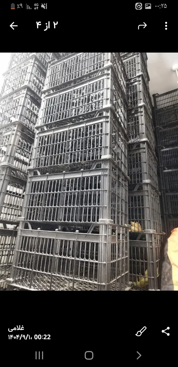 سبد میوه|ظروف نگهدارنده، پلاستیکی، یک‌بارمصرف|خرم‌آباد, |دیوار