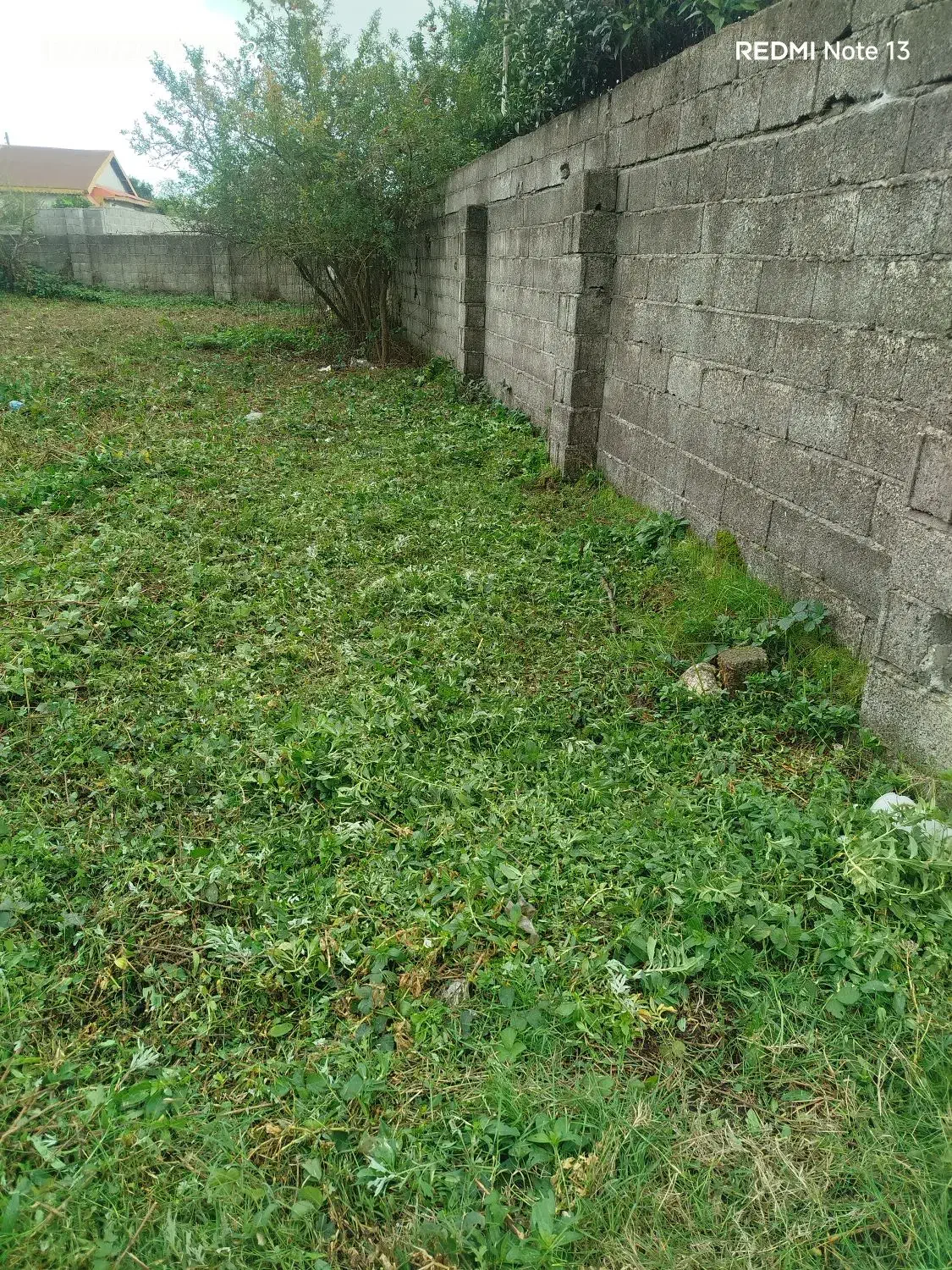 چمنزنی و علفزنی با دستگاه|خدمات باغبانی و درختکاری|لولمان, |دیوار