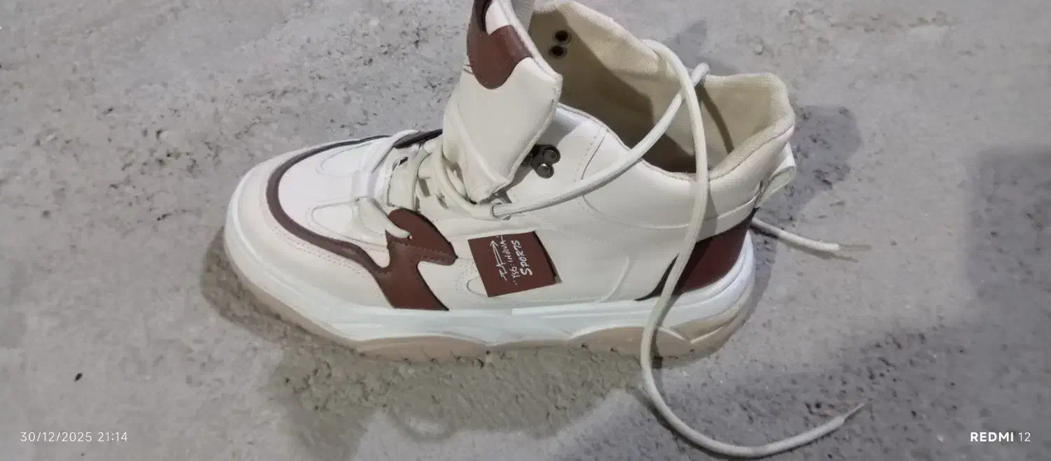 کفش|کیف، کفش، کمربند|بندر گناوه, |دیوار