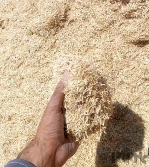 کاه|لوازم جانبی حیوانات|ایجرود, |دیوار