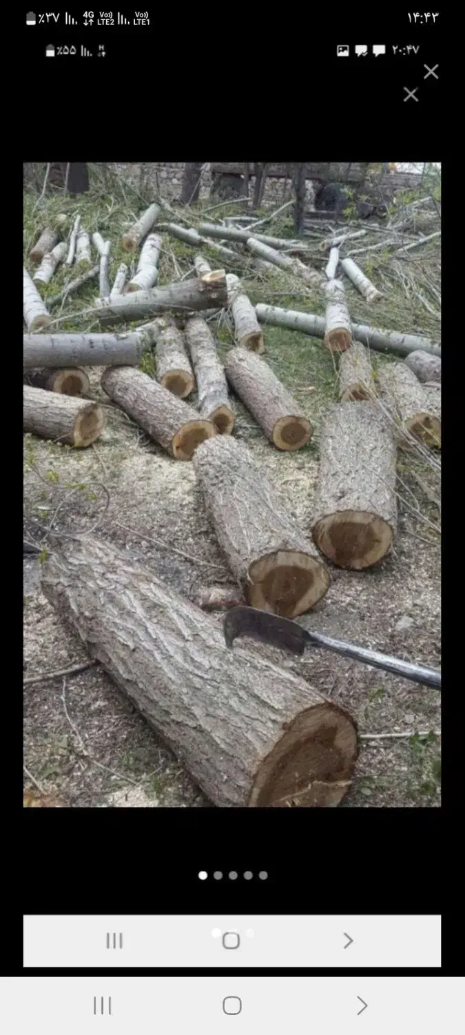 خرید و برش چوب.تیلر زدن|خدمات باغبانی و درختکاری|دورود, |دیوار