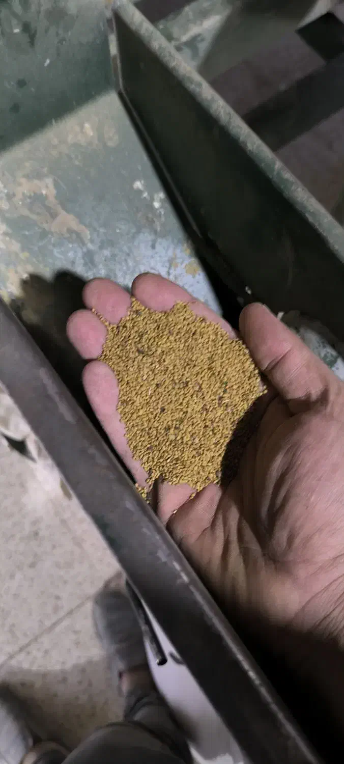 بذر یونجه/درجه ی یک/۲۵۰کیلو|خدمات باغبانی و درختکاری|شراء, |دیوار