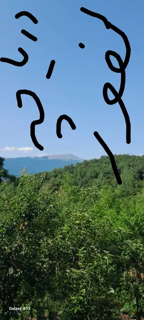 فروش زمین 400متری در دریاچه لفور|فروش زمین و ملک کلنگی|آلاشت, |دیوار