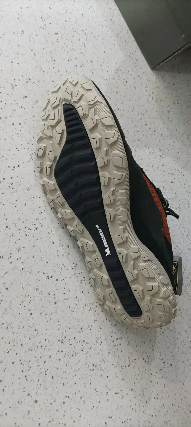 کفش اکو|کیف، کفش، کمربند|رشت, رشتیان|دیوار