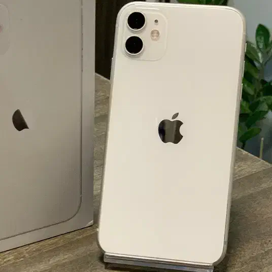 iPhone 11 normal 128|موبایل|مشهد, دانشجو|دیوار
