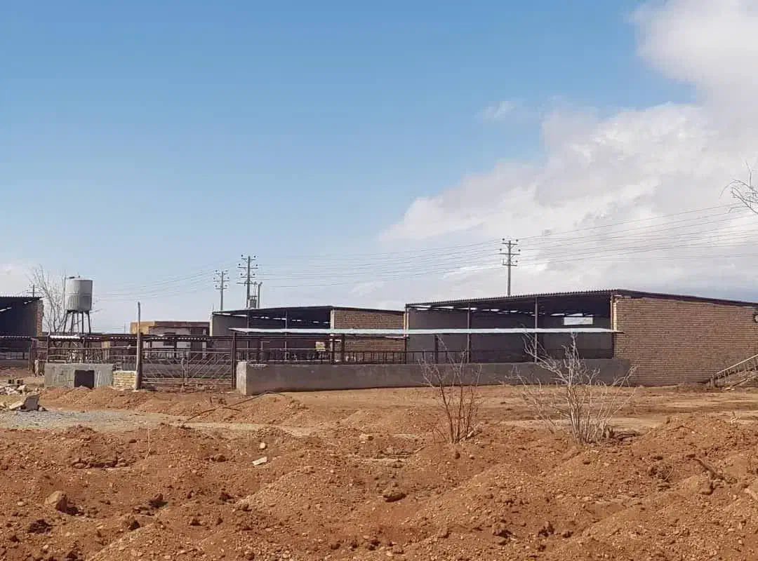 گاوداری ۵ هزار متری (فروش و معاوضه)با تمام مجوازات|فروش زمین و ملک کلنگی|شاهین‌شهر, حافظ جنوبی|دیوار