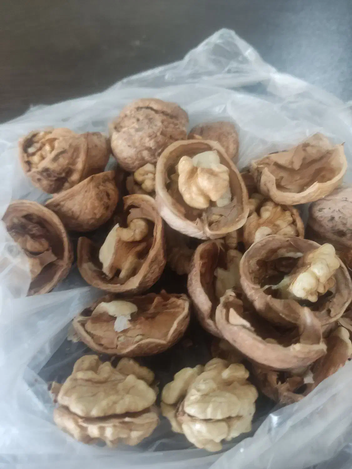 گردو درجه یک|عمده‌فروشی|شیروان (خراسان), |دیوار
