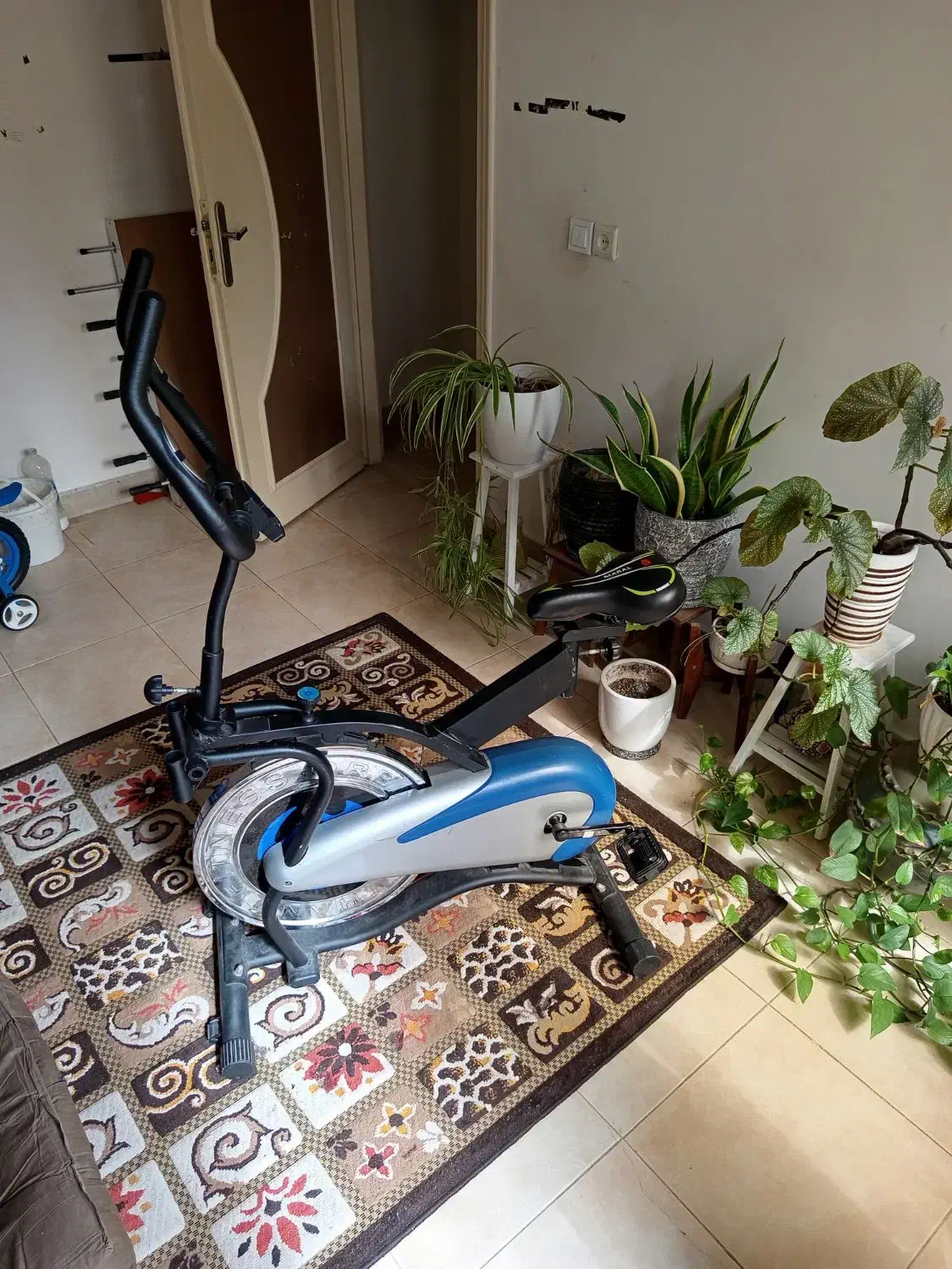 دوچرخه ثابت اسپینینگ|تجهیزات ورزشی|آمل, |دیوار