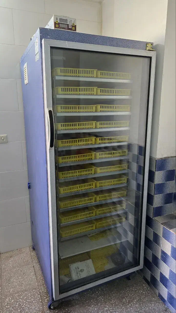 دستگاه جوجه کشی دماوند 1850 عددی|لوازم جانبی حیوانات|لنجان, |دیوار