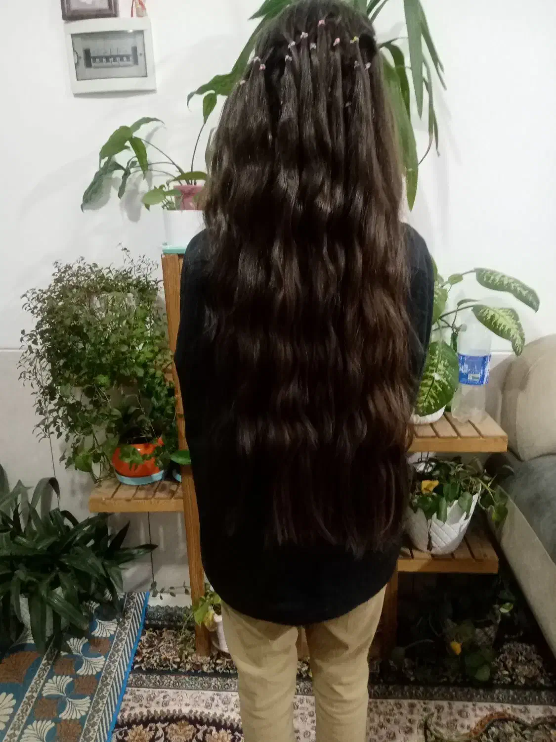 خریدار مو طبیعی ورنگ شده وحنا شده ۶۰سانت به بالا|خدمات آرایشگری و زیبایی|داراب, |دیوار