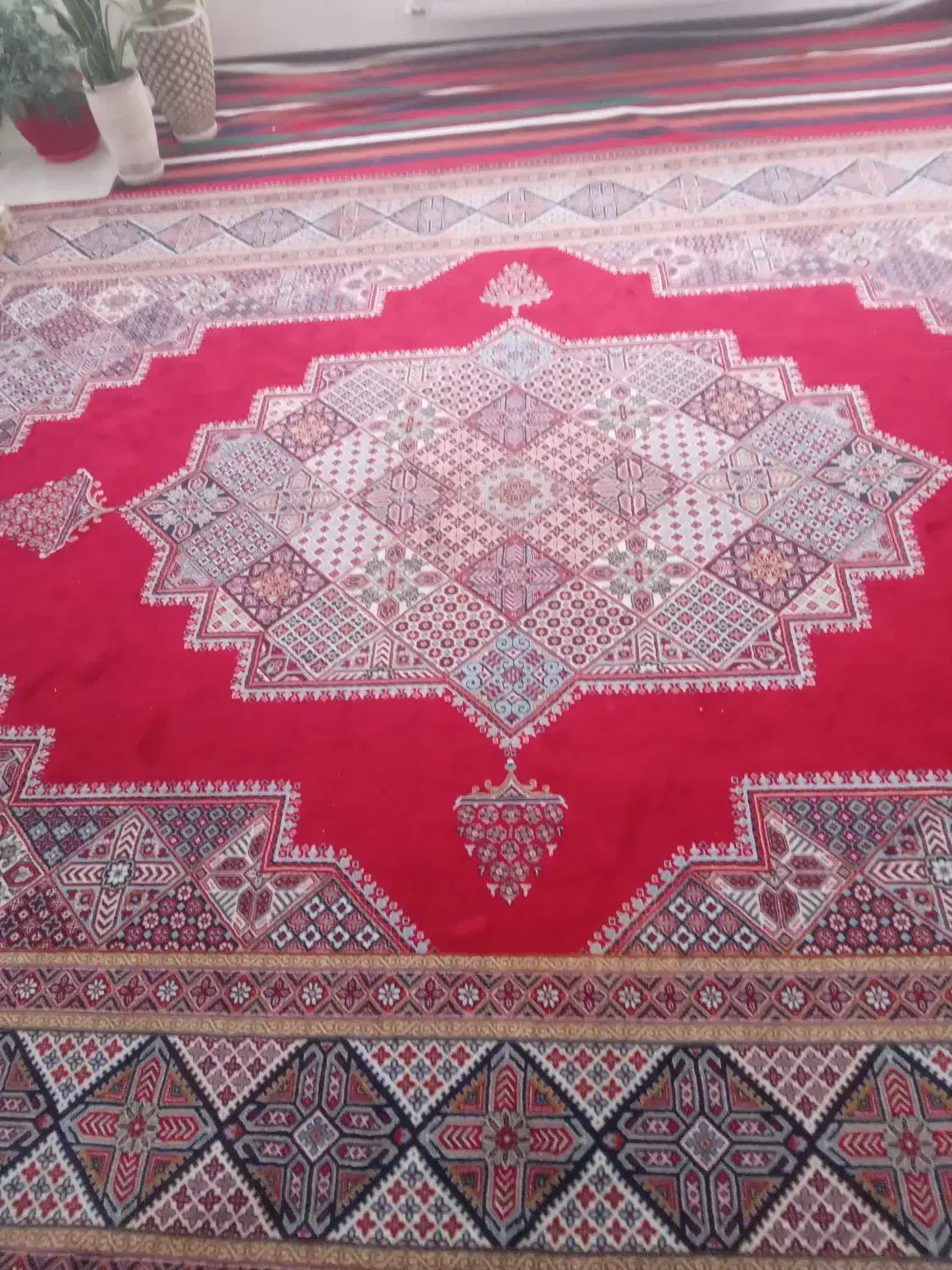 فرش 12 متری لاکی|فرش|هشتگرد, شهرک صبا سوله|دیوار