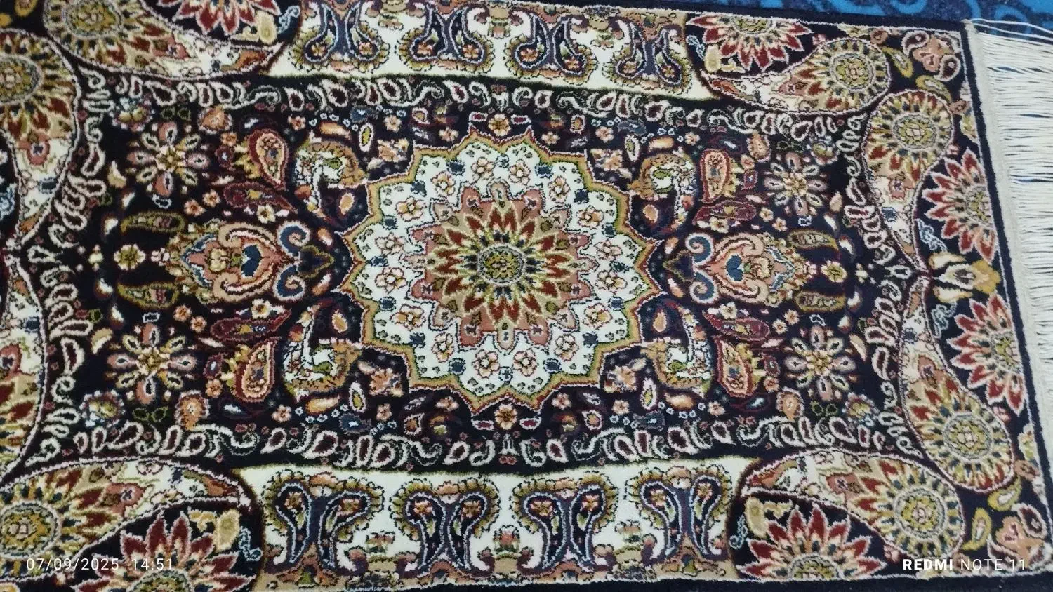 پادری ۵۰۰شونه|پادری|قم, علی آباد سعدگان|دیوار
