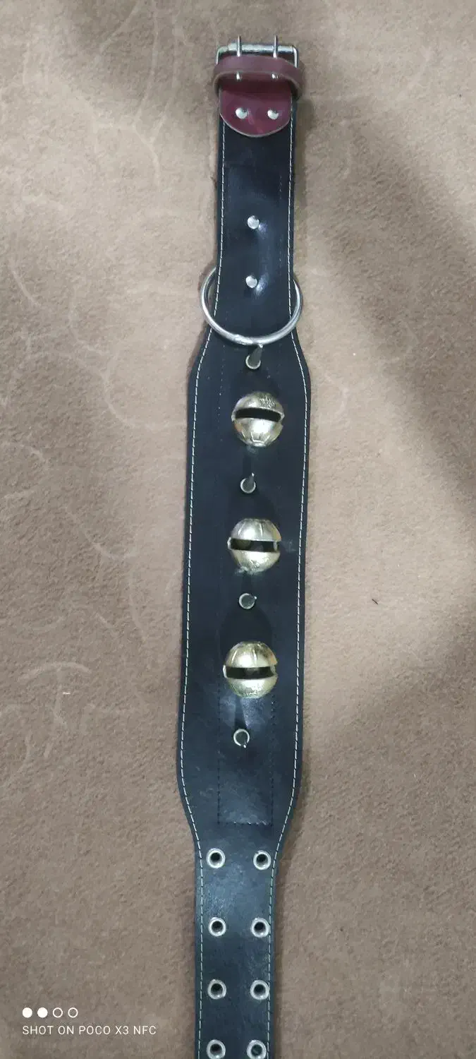 قلاده سگ|لوازم جانبی حیوانات|مشهد, باغون آباد|دیوار