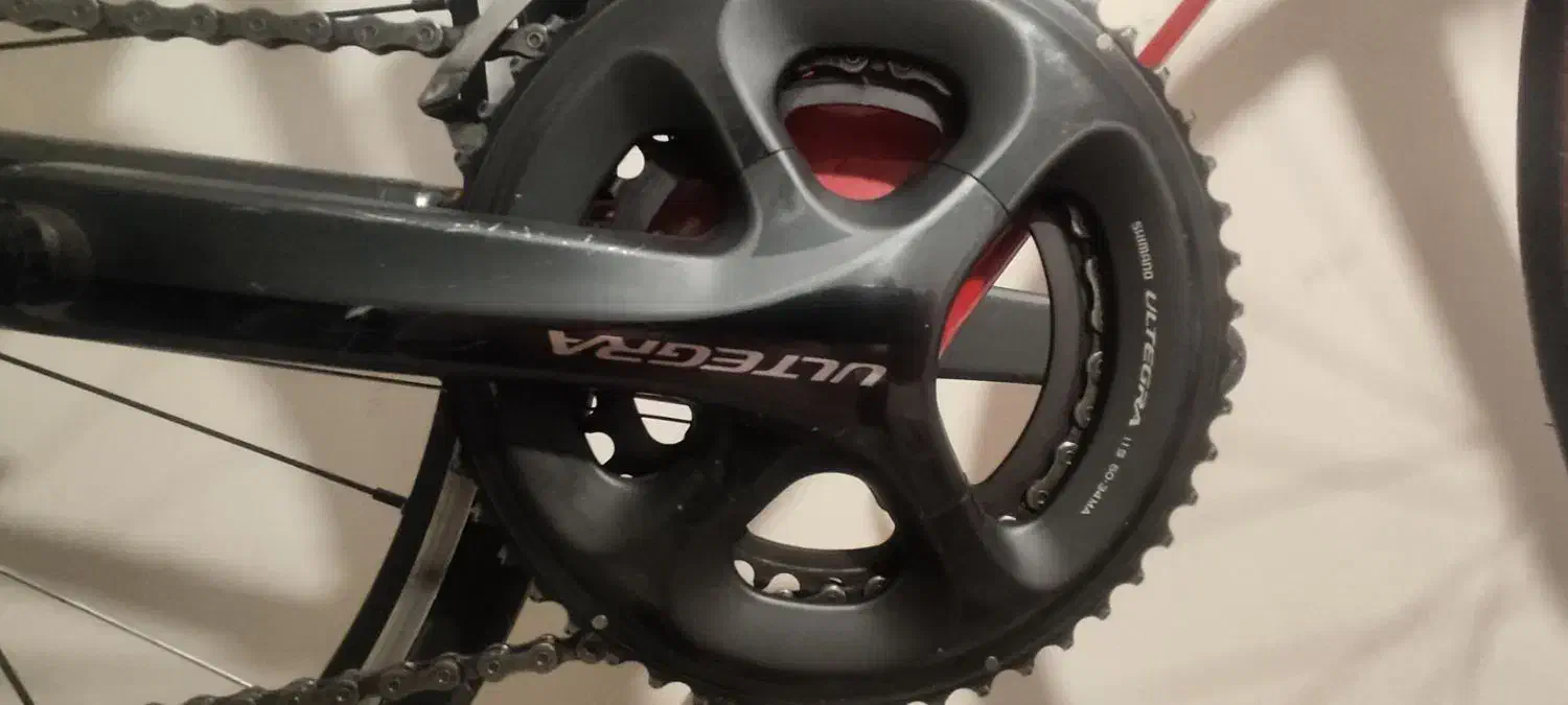 دوچرخه کورسی برنده ترک trek|دوچرخه، اسکیت، اسکوتر|فردیس, قریشی|دیوار