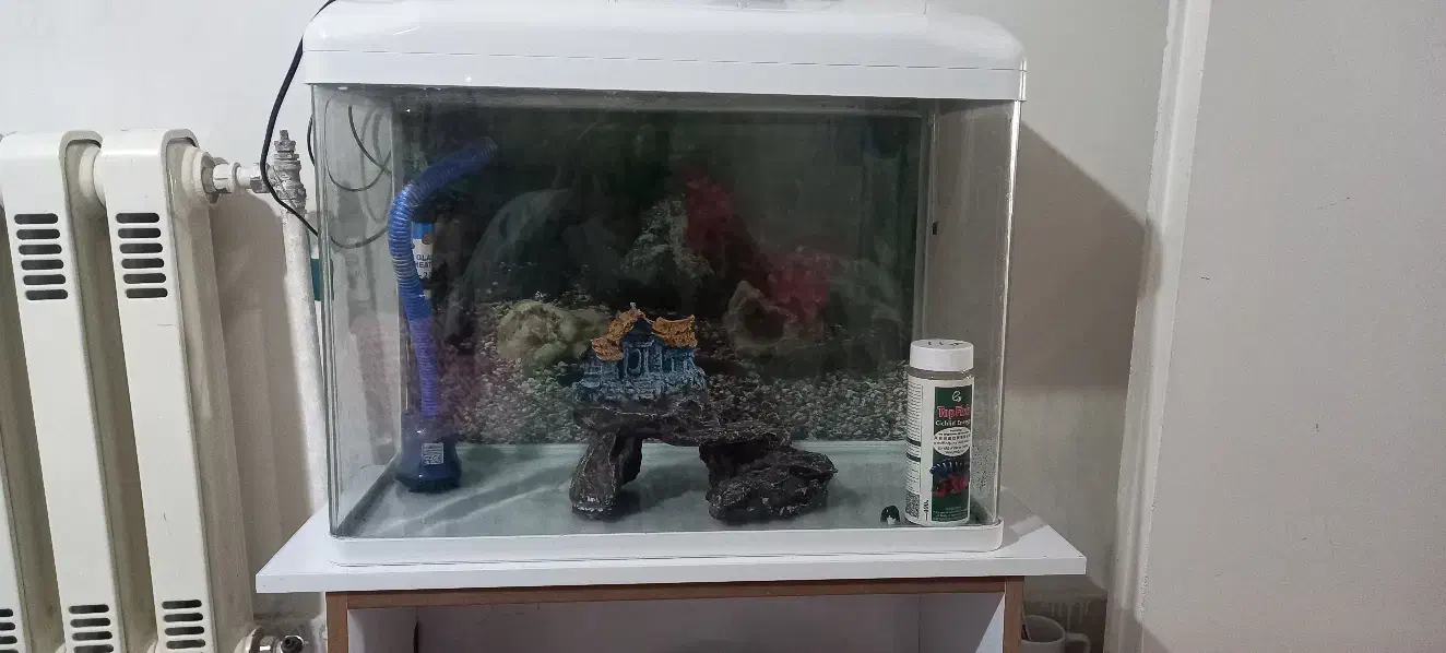 اکواریوم شرکتی|ماهی|دماوند, گیلاوند|دیوار