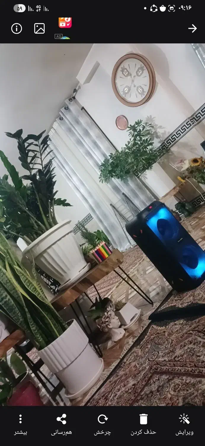 فروش گل وگیاه|گل و گیاه طبیعی|ورامین, ریحان آباد|دیوار