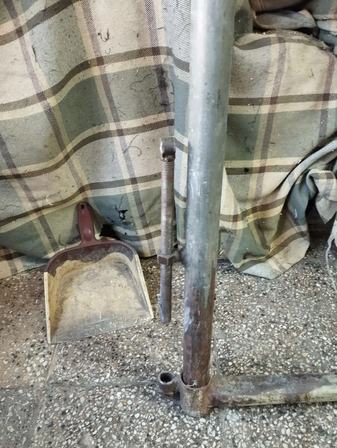 دار قالی|فرش|بروجرد, |دیوار