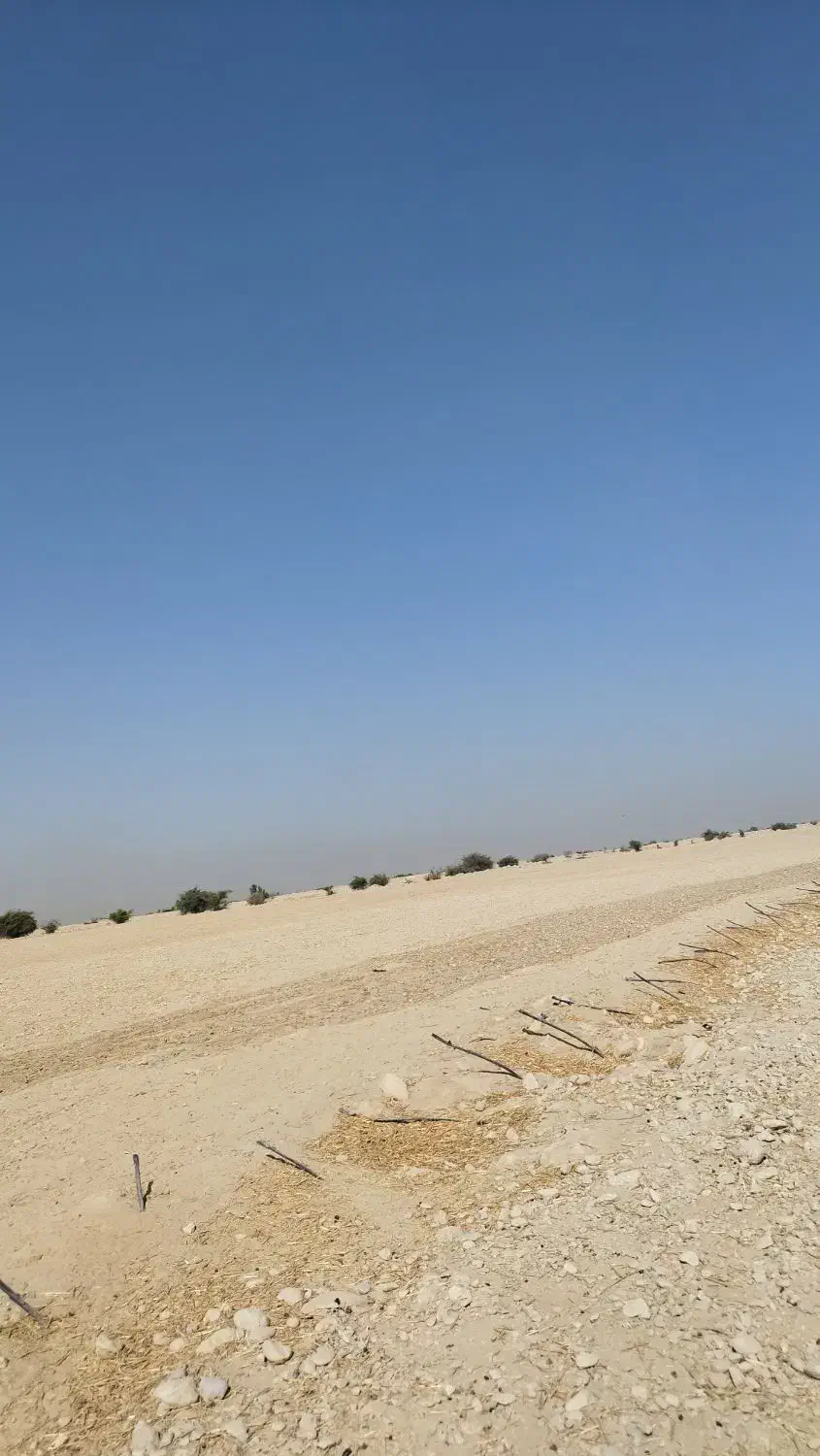 اجاره زمین کشاورزی|اجارهٔ دفتر صنعتی، کشاورزی، تجاری|برازجان, |دیوار