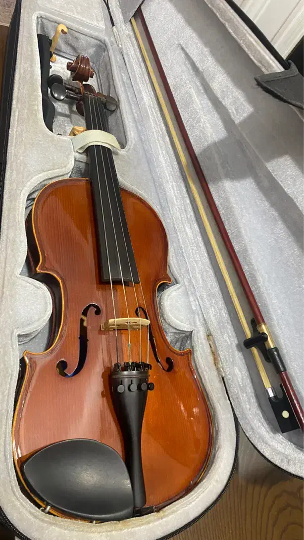 ویلن مدل TF142 تمیز و سالم|ویولن|آمل, |دیوار