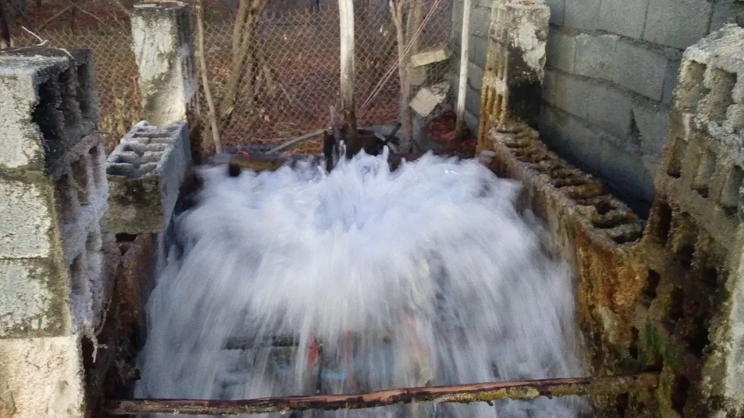 ماهی قزل الا|ماهی|کامیاران, |دیوار