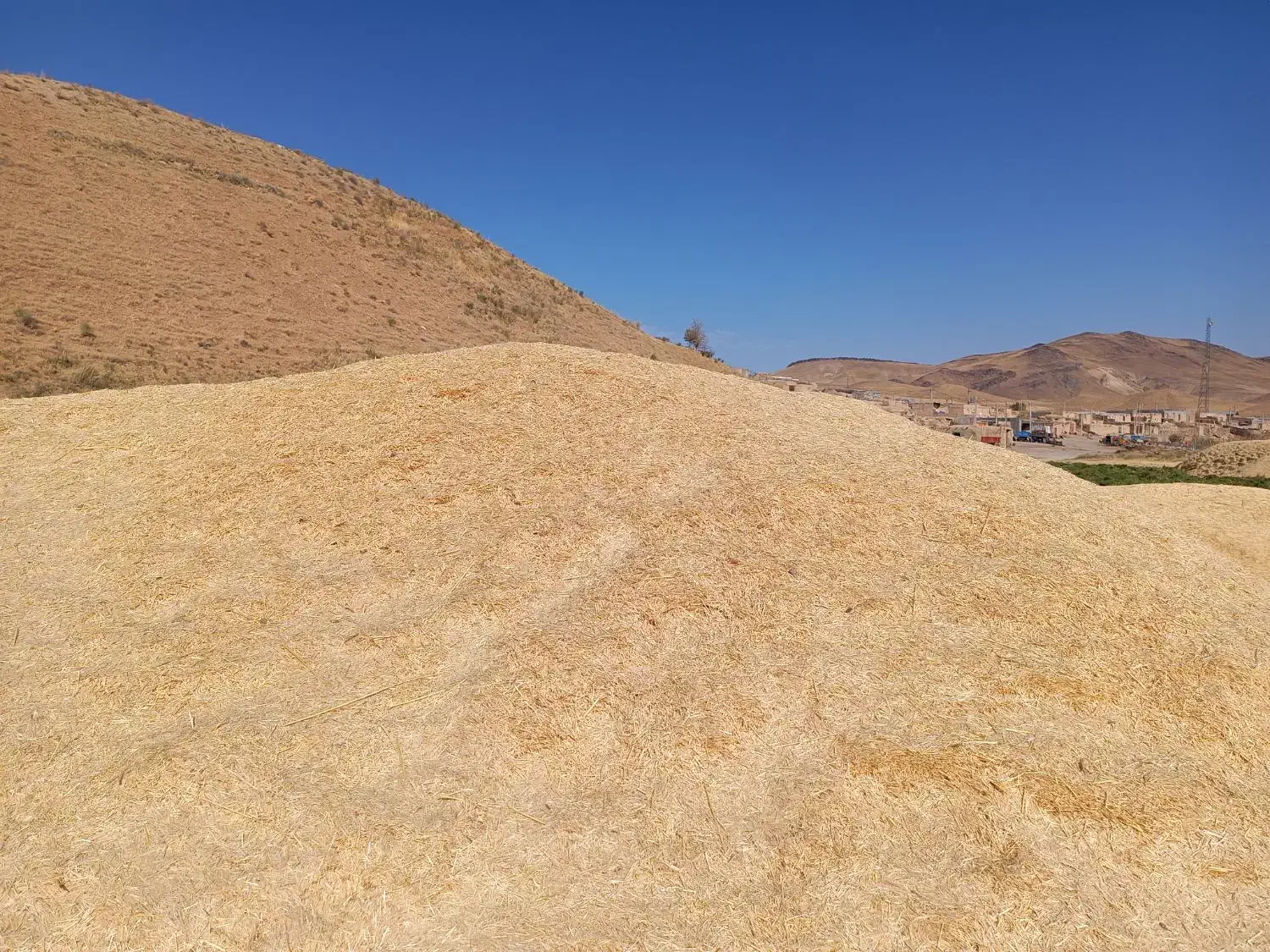 کاه گندم|عمده‌فروشی|سریش آباد, |دیوار