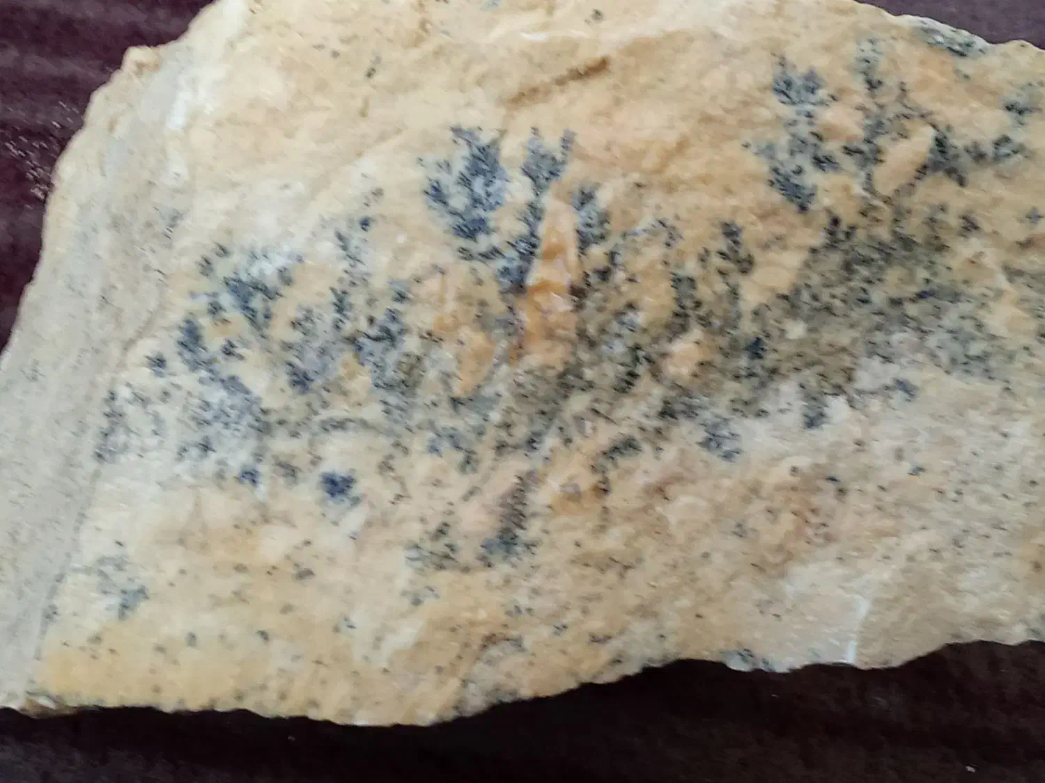 سنگ شجر|کلکسیون اشیاء عتیقه|ایجرود, |دیوار