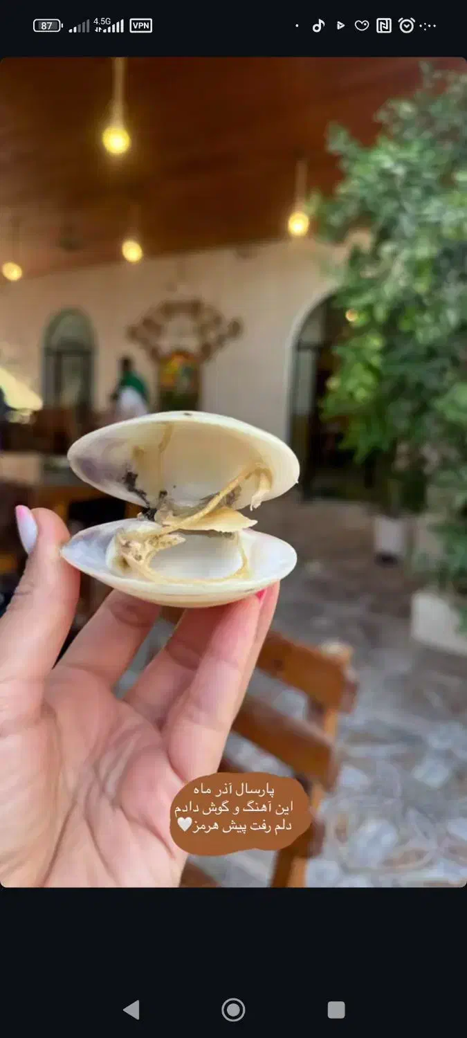 دکوری منزل|صنایع دستی و سایر لوازم تزئینی|رباطکریم, نصیرشهر|دیوار