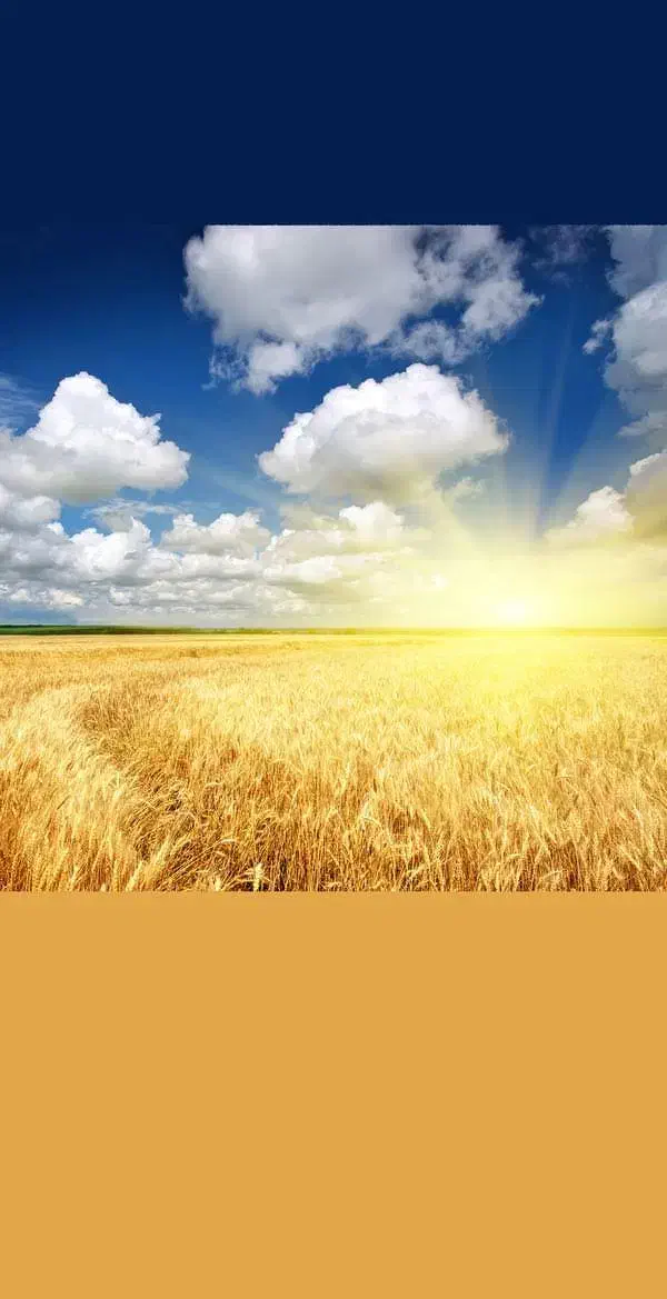 اجاره روزانه .هفتگی . سوییت و ویلا|اجارهٔ کوتاهمدت آپارتمان و سوئیت|کرج, آتشگاه|دیوار