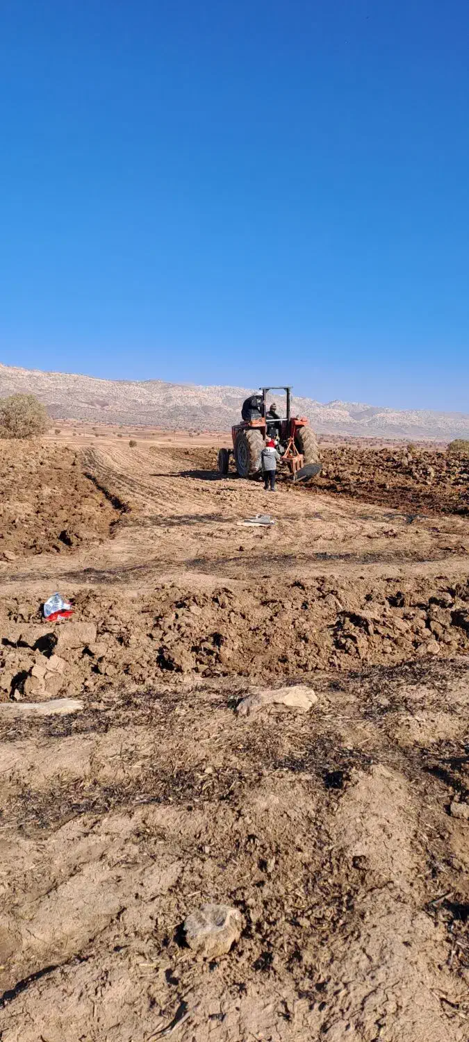 شخم و ردیف کار|خدمات باغبانی و درختکاری|کوهدشت, |دیوار