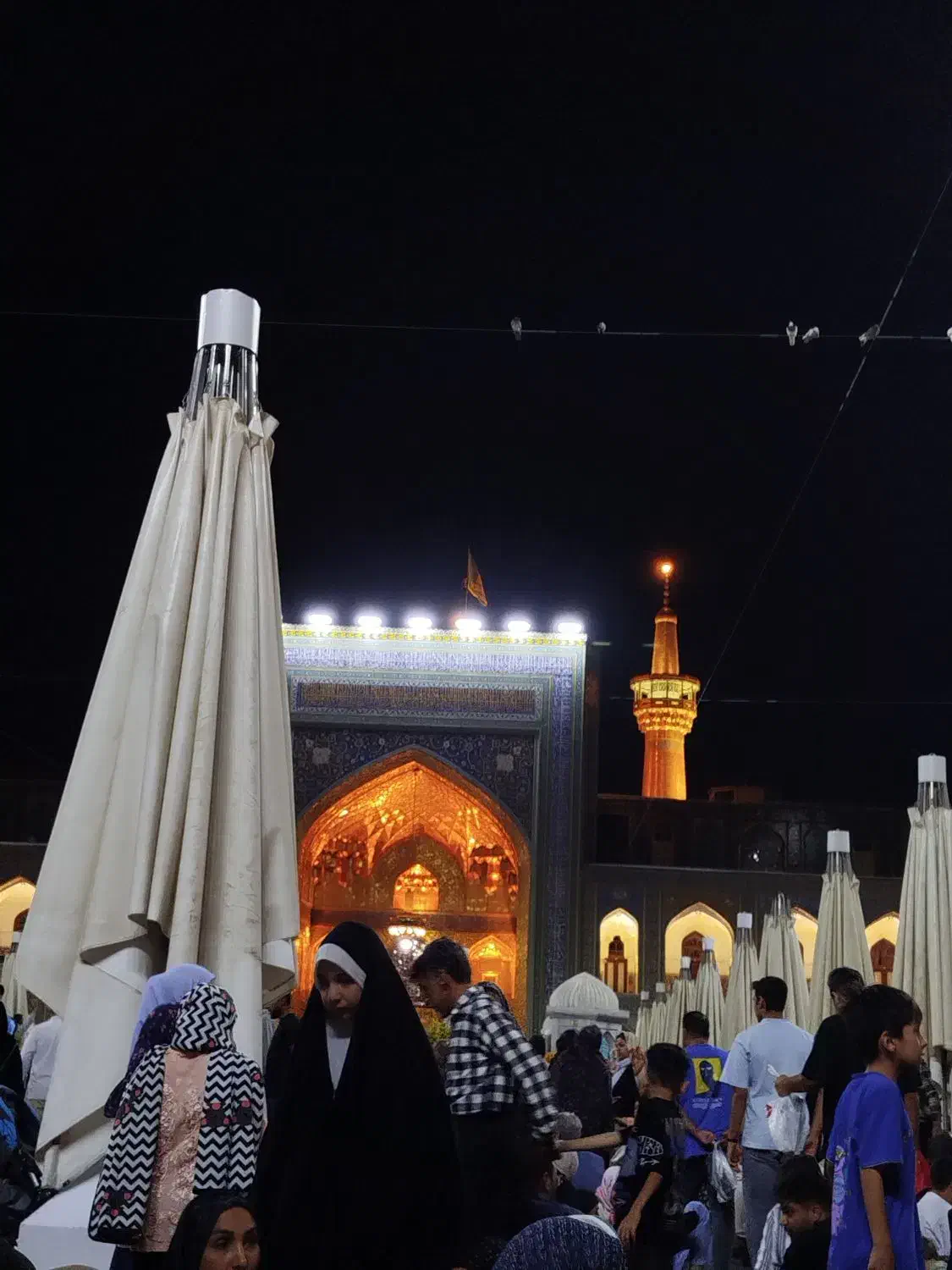 کاروان زیارتی|تور و چارتر|قم, آزادگان|دیوار