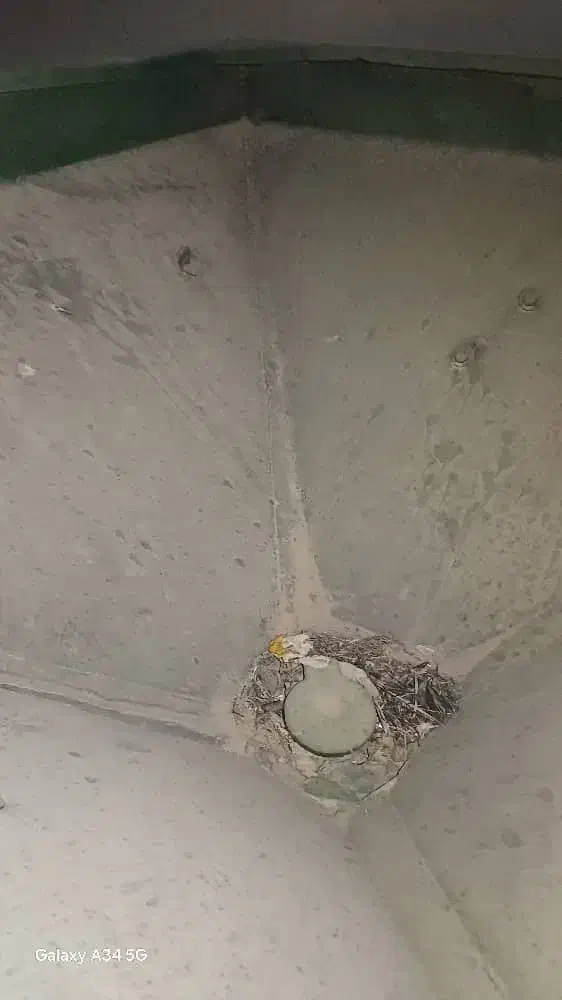 بزر پاش|ماشینآلات صنعتی|رامهرمز, |دیوار