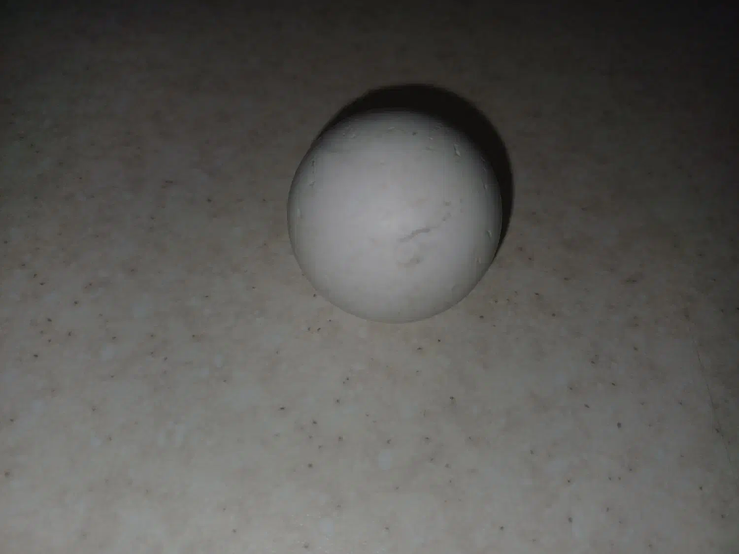 سنگ آسیاب|جواهرات|همدان, |دیوار