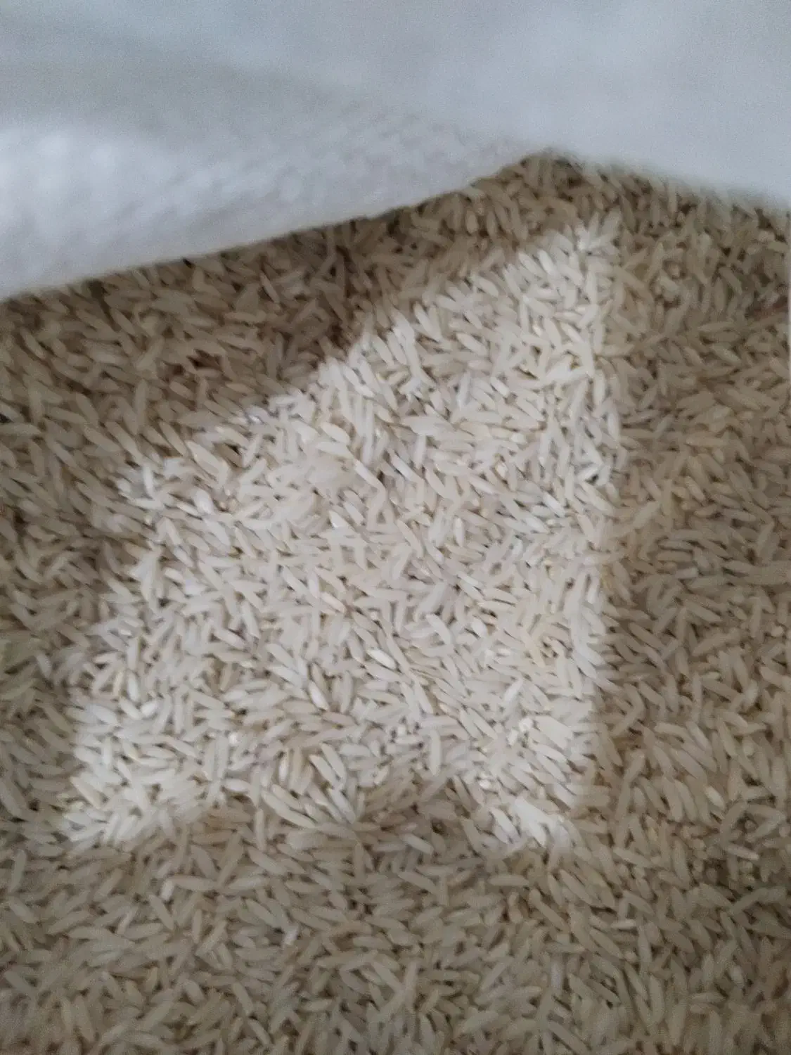 برنج طارم هاشمی رشت|عمده‌فروشی|سیمین شهر, |دیوار