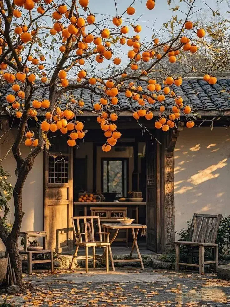 درخواست 33 میلیون با سود و ضمانت مطمئن|استخدام مالی، حسابداری، حقوقی|حمیدیا, |دیوار