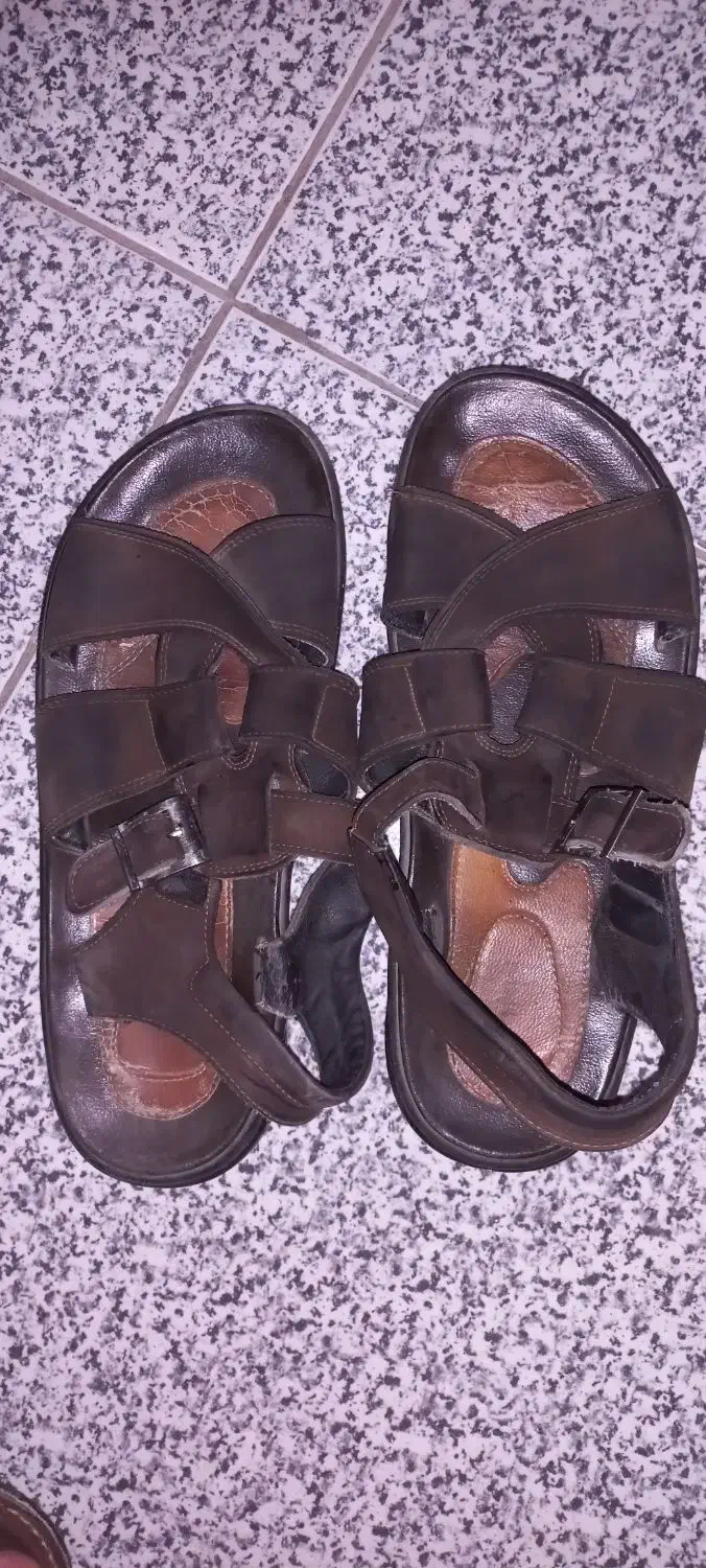 کفش مجلسی و تابستانه۴۳|کیف، کفش، کمربند|شیراز, زرهی|دیوار