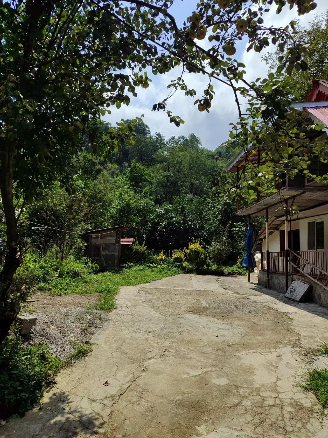 ویلا جنگلی|اجارهٔ کوتاهمدت ویلا و باغ|چابکسر, |دیوار