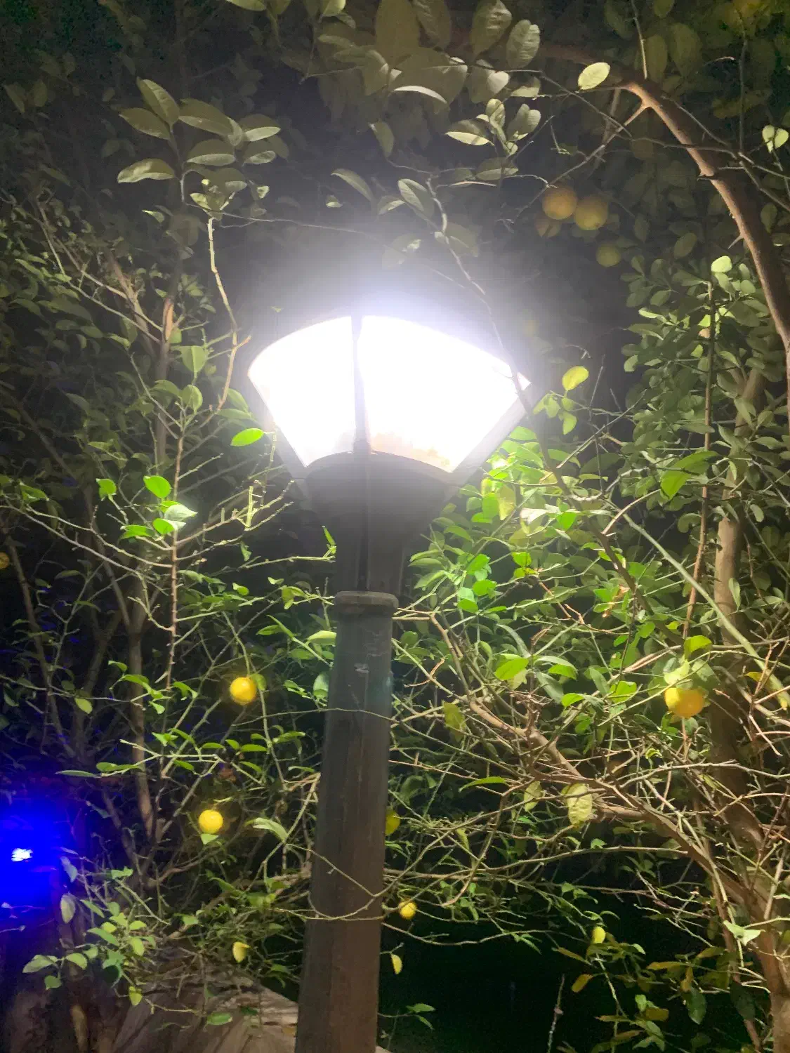 چراغ و پایه برای فضای باز|لامپ و چراغ|نوشهر, |دیوار