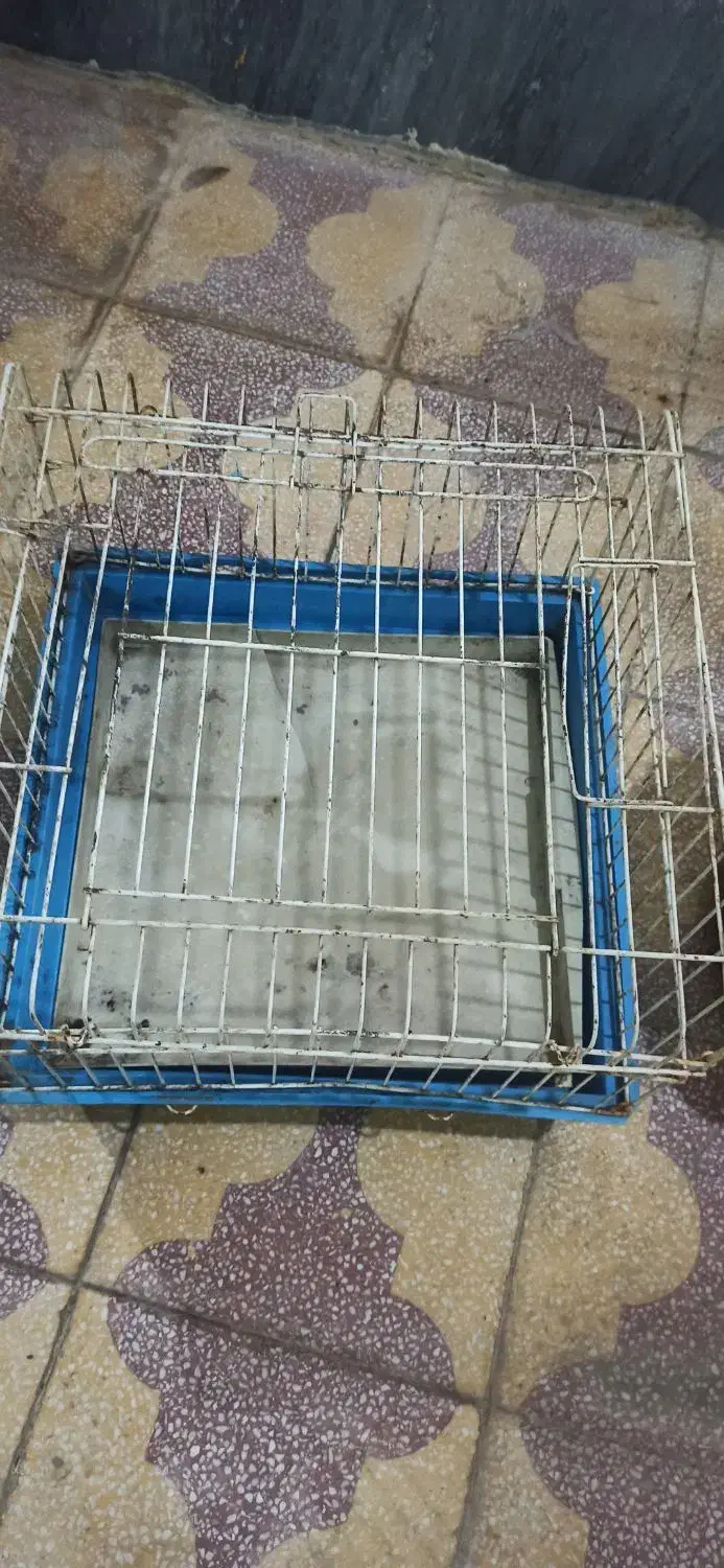 قفس پرنده و جوجه|لوازم جانبی حیوانات|امیدیه, |دیوار