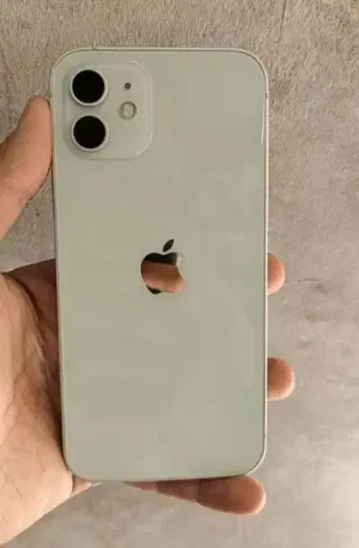 ایفون ۱۲ نرمال|موبایل|قم, پردیسان|دیوار