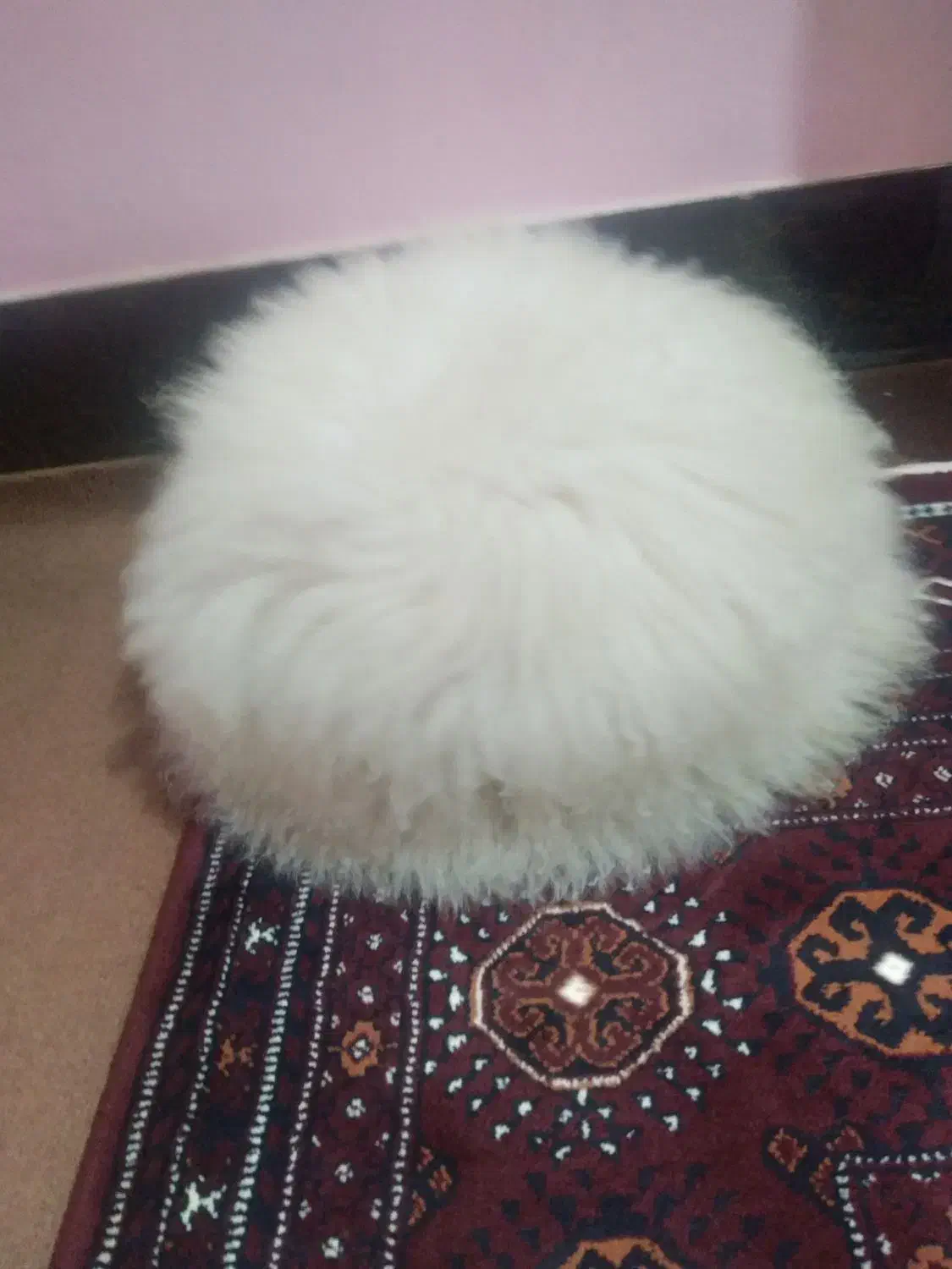 سلمگ تلفک|لباس|گنبد کاووس, |دیوار